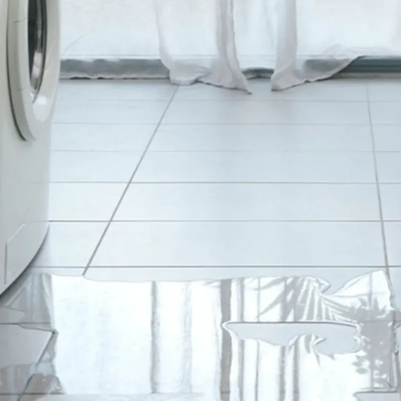 Appliance Leak Cleanup in Salina, UT