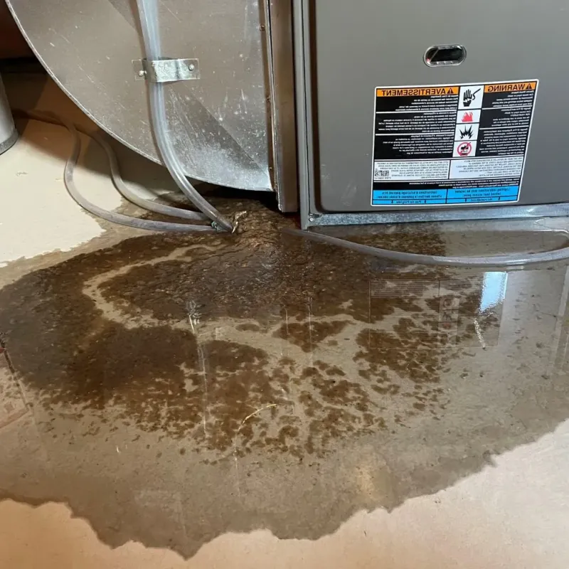 Pipe Burst and Leak Restoration in Salina, UT