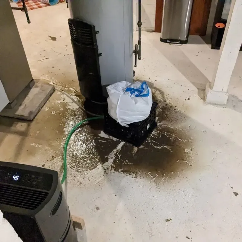 Sewage Backup Cleanup Service in Salina, UT